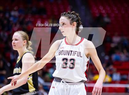Thumbnail 1 in Bountiful vs. Wasatch (UHSAA 5A Final) photogallery.