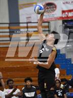 Photo from the gallery "Highland @ Quartz Hill"