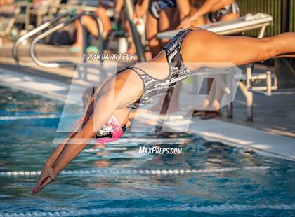 Thumbnail 2 in Basha @ Hamilton photogallery.