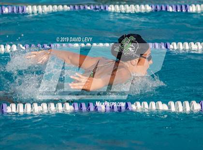 Thumbnail 3 in Basha @ Hamilton photogallery.