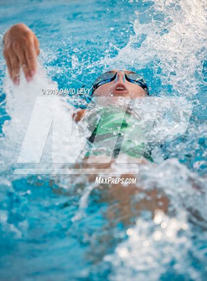 Thumbnail 1 in Basha @ Hamilton photogallery.
