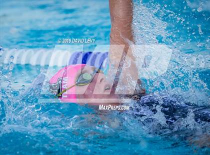 Thumbnail 2 in Basha @ Hamilton photogallery.
