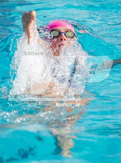 Thumbnail 2 in Basha @ Hamilton photogallery.