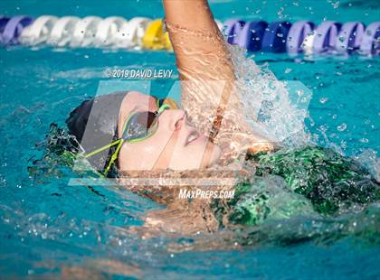 Thumbnail 3 in Basha @ Hamilton photogallery.