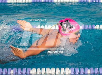 Thumbnail 2 in Basha @ Hamilton photogallery.