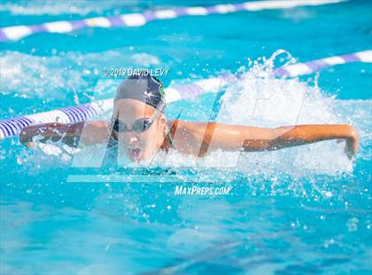 Thumbnail 3 in Basha @ Hamilton photogallery.