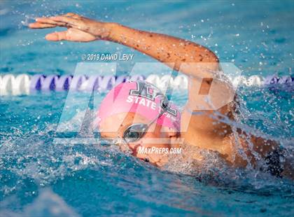 Thumbnail 2 in Basha @ Hamilton photogallery.