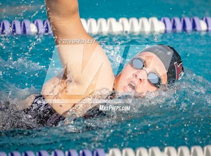 Thumbnail 3 in Basha @ Hamilton photogallery.