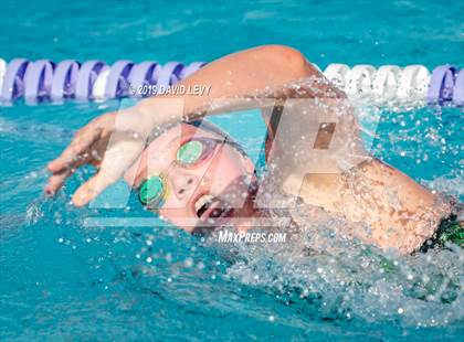 Thumbnail 2 in Basha @ Hamilton photogallery.