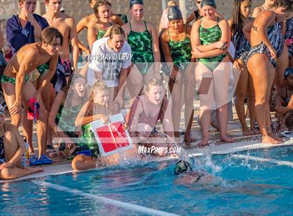 Thumbnail 1 in Basha @ Hamilton photogallery.