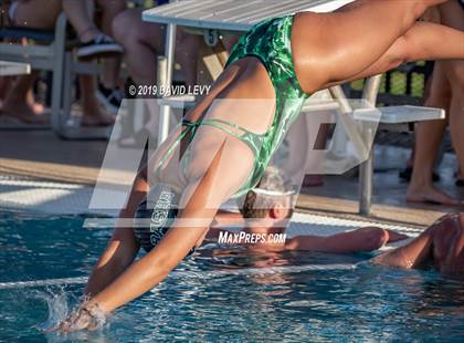 Thumbnail 2 in Basha @ Hamilton photogallery.