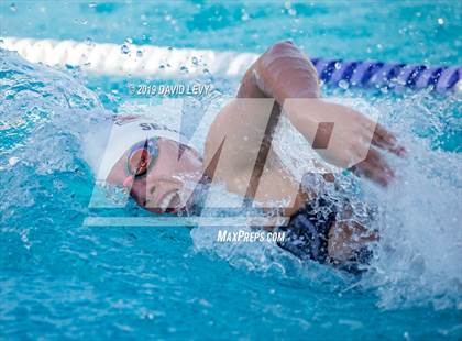 Thumbnail 3 in Basha @ Hamilton photogallery.