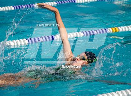 Thumbnail 1 in Basha @ Hamilton photogallery.
