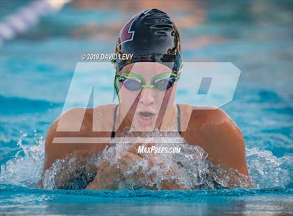 Thumbnail 3 in Basha @ Hamilton photogallery.