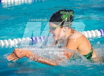 Thumbnail 1 in Basha @ Hamilton photogallery.