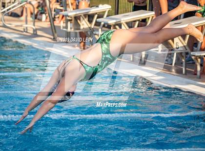 Thumbnail 3 in Basha @ Hamilton photogallery.