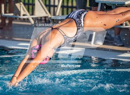 Thumbnail 3 in Basha @ Hamilton photogallery.