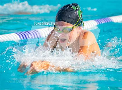 Thumbnail 3 in Basha @ Hamilton photogallery.