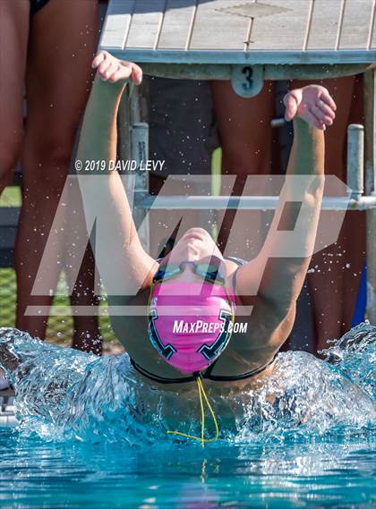 Thumbnail 1 in Basha @ Hamilton photogallery.