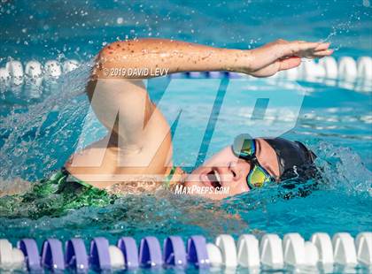 Thumbnail 1 in Basha @ Hamilton photogallery.