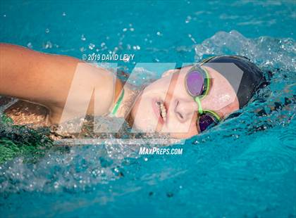 Thumbnail 1 in Basha @ Hamilton photogallery.