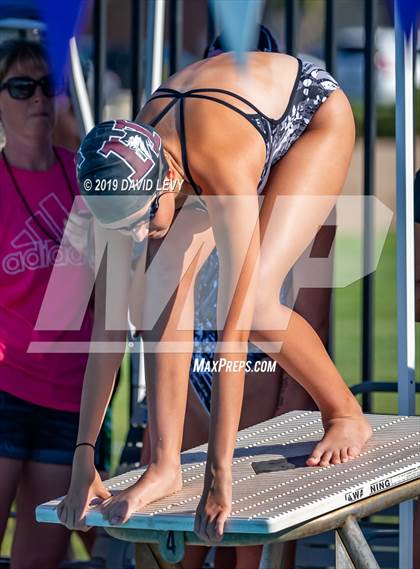 Thumbnail 3 in Basha @ Hamilton photogallery.