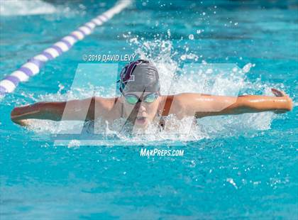 Thumbnail 3 in Basha @ Hamilton photogallery.