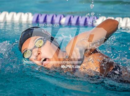 Thumbnail 3 in Basha @ Hamilton photogallery.