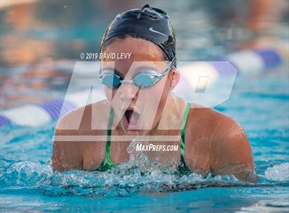 Thumbnail 1 in Basha @ Hamilton photogallery.