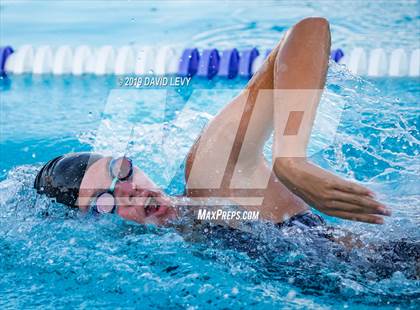Thumbnail 3 in Basha @ Hamilton photogallery.