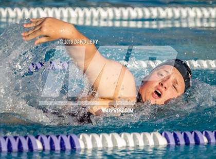 Thumbnail 1 in Basha @ Hamilton photogallery.