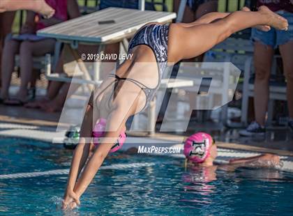 Thumbnail 2 in Basha @ Hamilton photogallery.
