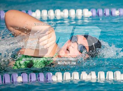 Thumbnail 1 in Basha @ Hamilton photogallery.