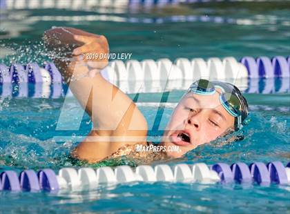 Thumbnail 2 in Basha @ Hamilton photogallery.