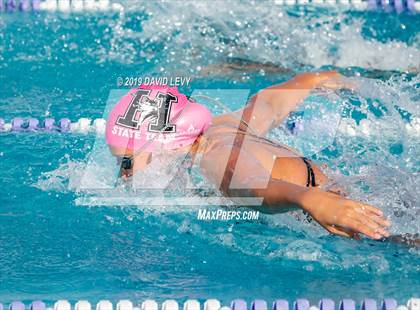 Thumbnail 2 in Basha @ Hamilton photogallery.