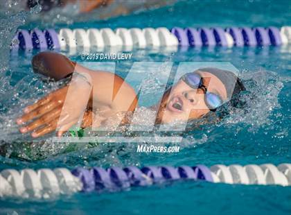 Thumbnail 2 in Basha @ Hamilton photogallery.