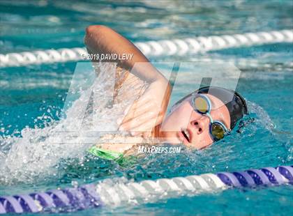 Thumbnail 1 in Basha @ Hamilton photogallery.