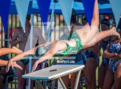 Thumbnail 2 in Basha @ Hamilton photogallery.