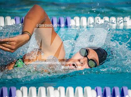 Thumbnail 3 in Basha @ Hamilton photogallery.
