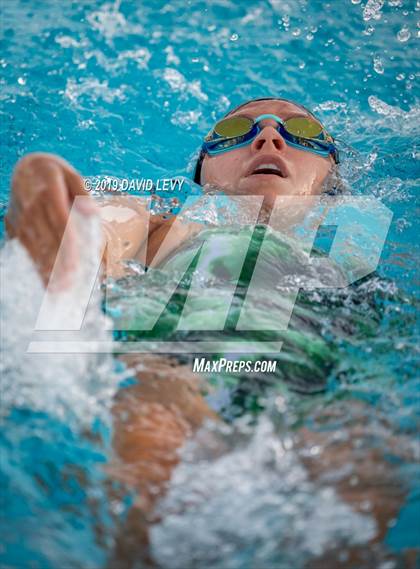 Thumbnail 3 in Basha @ Hamilton photogallery.