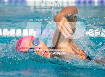 Thumbnail 1 in Basha @ Hamilton photogallery.