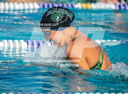 Thumbnail 3 in Basha @ Hamilton photogallery.