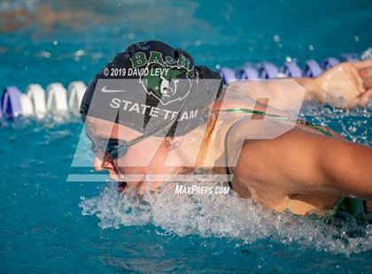 Thumbnail 1 in Basha @ Hamilton photogallery.