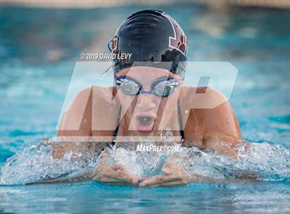 Thumbnail 2 in Basha @ Hamilton photogallery.