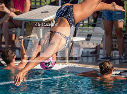 Thumbnail 1 in Basha @ Hamilton photogallery.