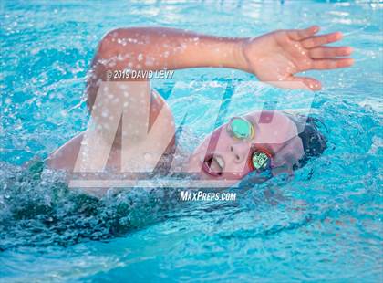 Thumbnail 3 in Basha @ Hamilton photogallery.