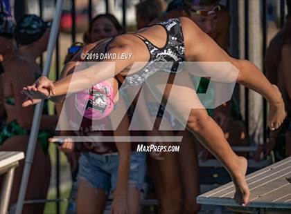 Thumbnail 3 in Basha @ Hamilton photogallery.