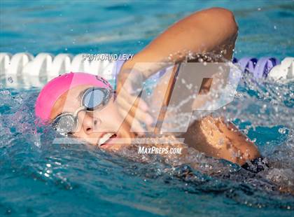 Thumbnail 2 in Basha @ Hamilton photogallery.