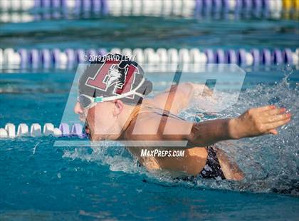 Thumbnail 3 in Basha @ Hamilton photogallery.