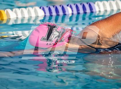 Thumbnail 1 in Basha @ Hamilton photogallery.